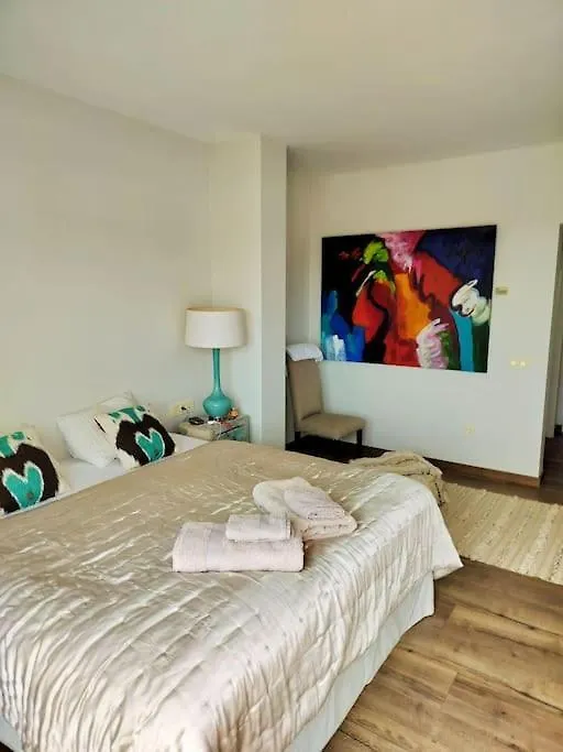 Lovely Seaside Luxury Penthouse Alcaidesa 0*,